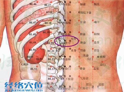 脊中穴的准确位置图