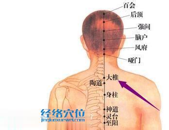 大椎穴位图