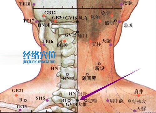 大椎穴的准确位置图