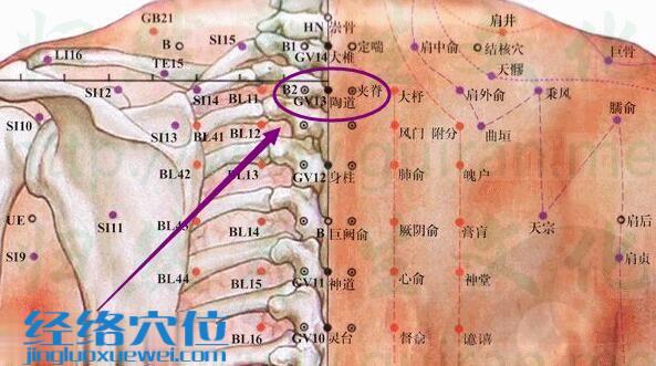 陶道穴的准确位置图