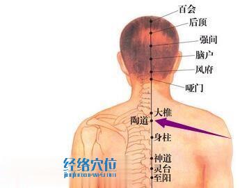 陶道穴的位置图