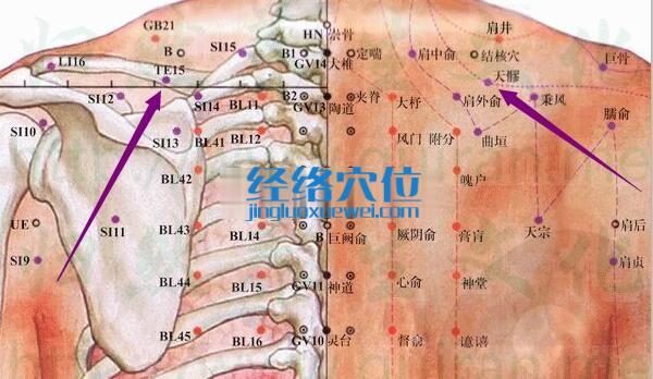 天髎穴的准确位置图