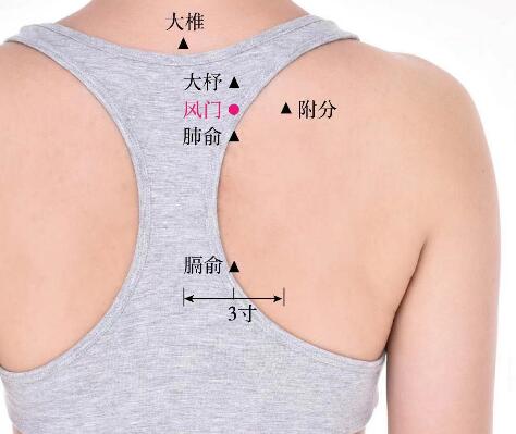 风门的准确位置图及功效视频位位置图