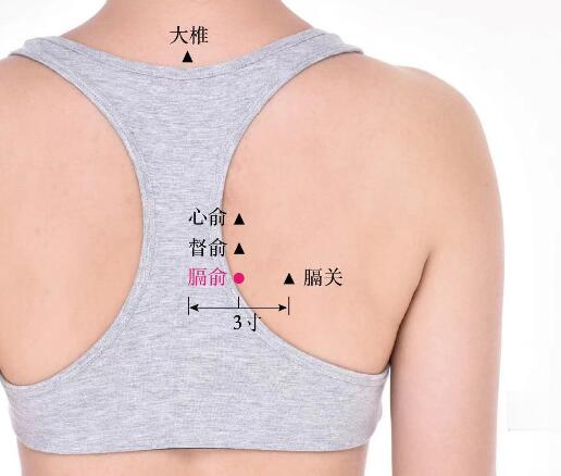膈俞的准确位置图及功效视频位位置图