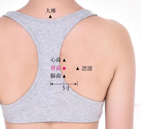 督俞的准确位置图及功效视频位位置图