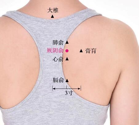 厥阴俞的准确位置图及功效视频位位置图