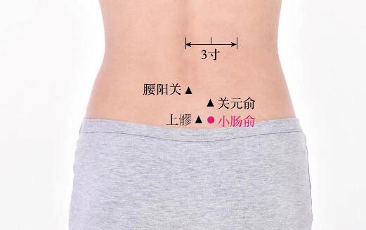 小肠俞的准确位置图及功效视频