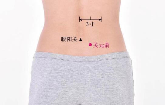 关元俞的准确位置图及功效视频
