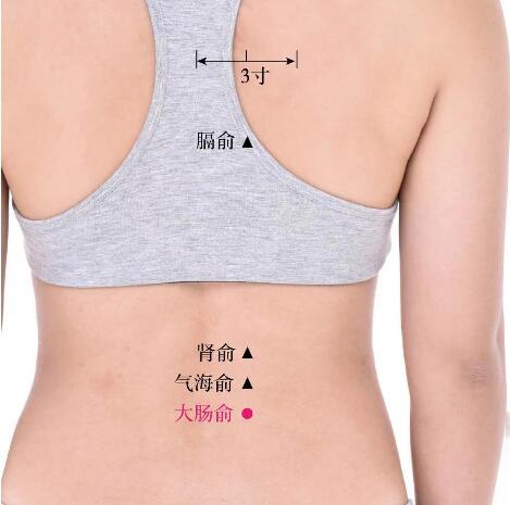 大肠俞的准确位置图及功效视频位位置图