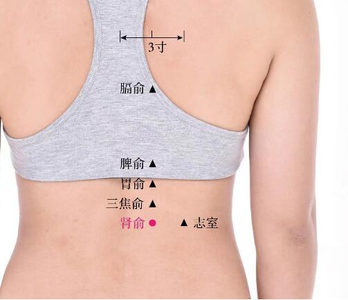 肾俞的准确位置图及功效视频