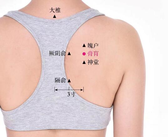 膏肓的准确位置图及功效视频位位置图