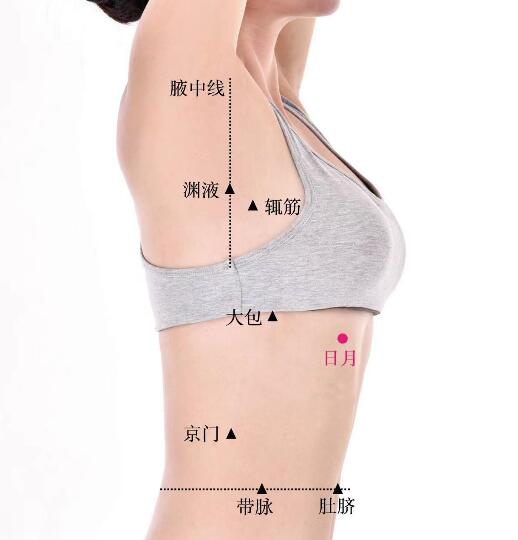 日月的准确位置图及功效视频