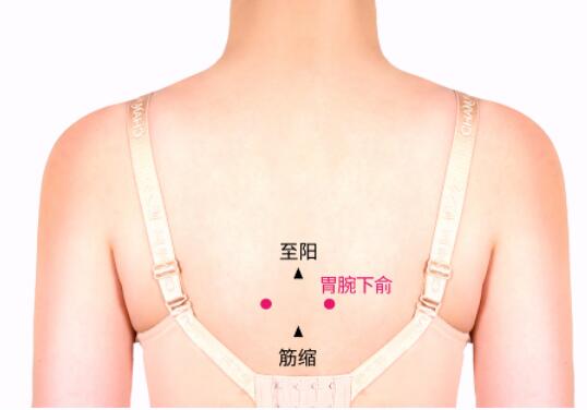 胃脘下俞的准确位置图及功效视频