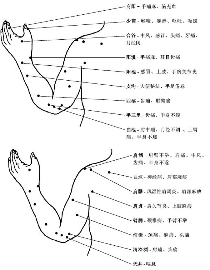 胳膊手部穴位图及作用功效