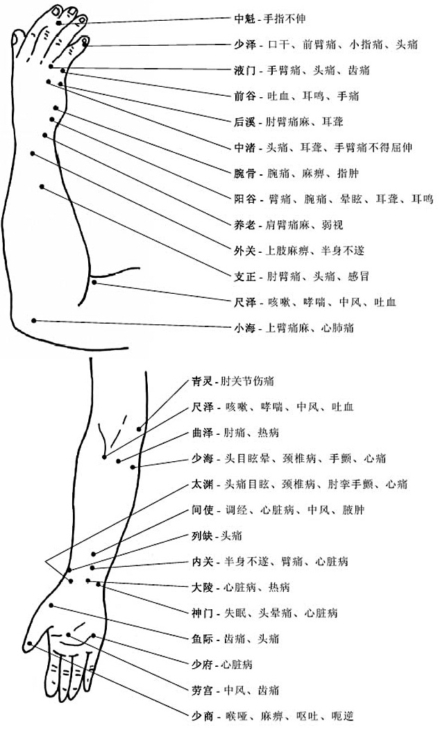 胳膊手部穴位图及作用功效