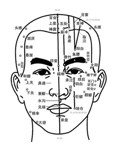 人体头部正面穴位图