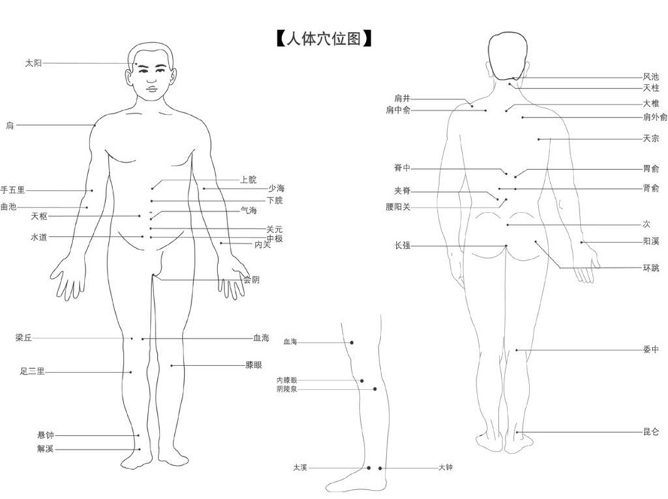 人体穴位分布图