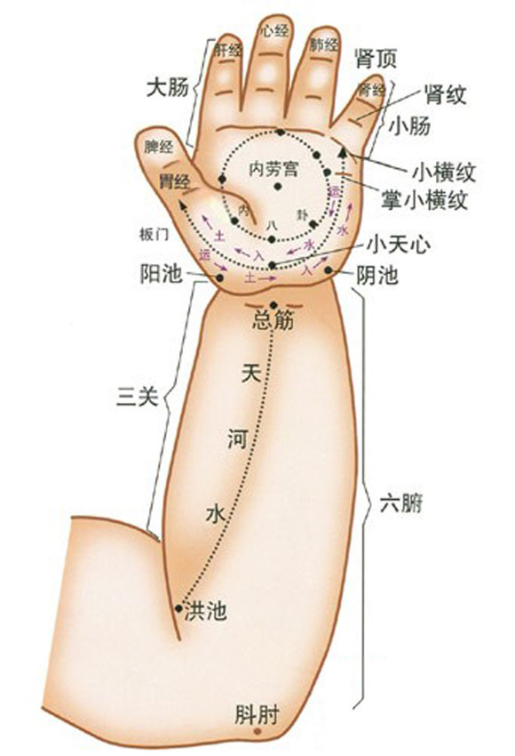 儿童上肢穴位图