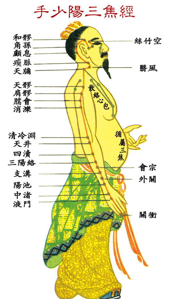 手少阳三焦经