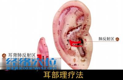 耳部理疗法