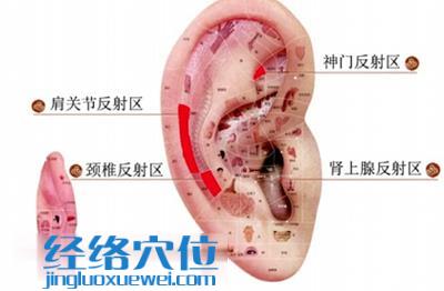 耳部理疗法