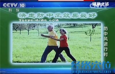 每周4个小时的快走对预防脑中风有好处