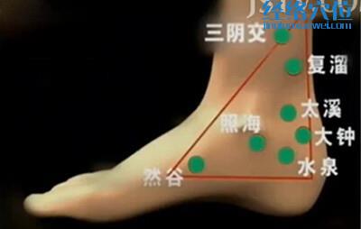 太溪穴、照海穴的位置图