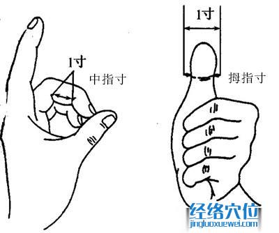 拇指中指同身寸法 比量示范图