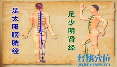 足太阳膀胱经互为表里的是足少阴肾经