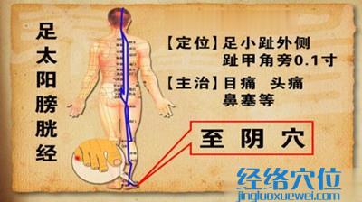 至阴穴的位置及作用功效