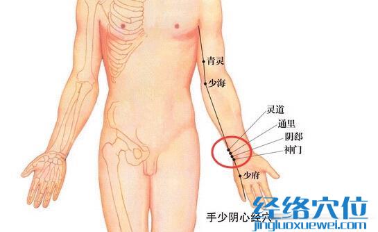 神门穴、阴郄、通里、灵道，四个穴位的准确位置图