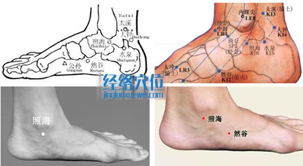 照海穴的准确位置图（高清图组）