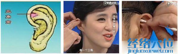 耳穴上三角窝