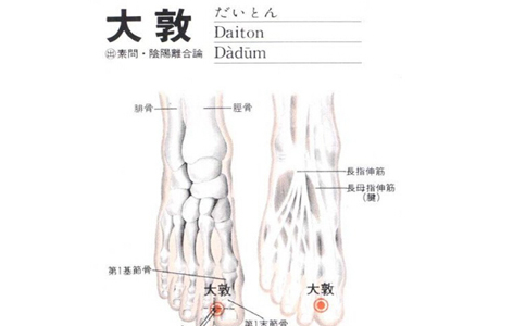 脚底穴位图解大全