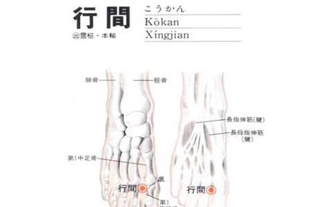 详解脚底穴位图 脚底穴位都有哪些 脚底有什么穴位