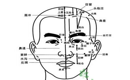 面部穴位面部穴位图